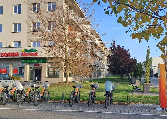 Blue Appartamento Płock